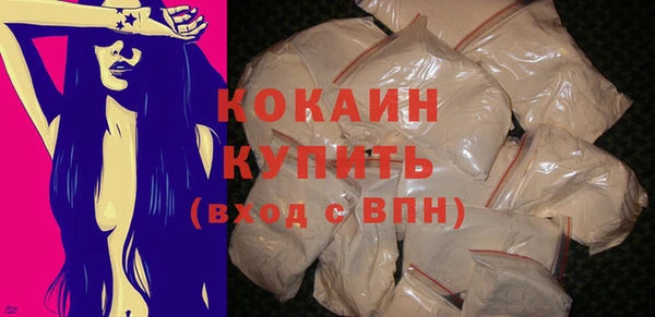 тгк Нея
