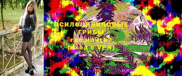тгк Нея